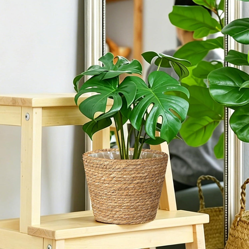 Natural Seagrass Planter Baskets 6 Pack Plant Pot Covers