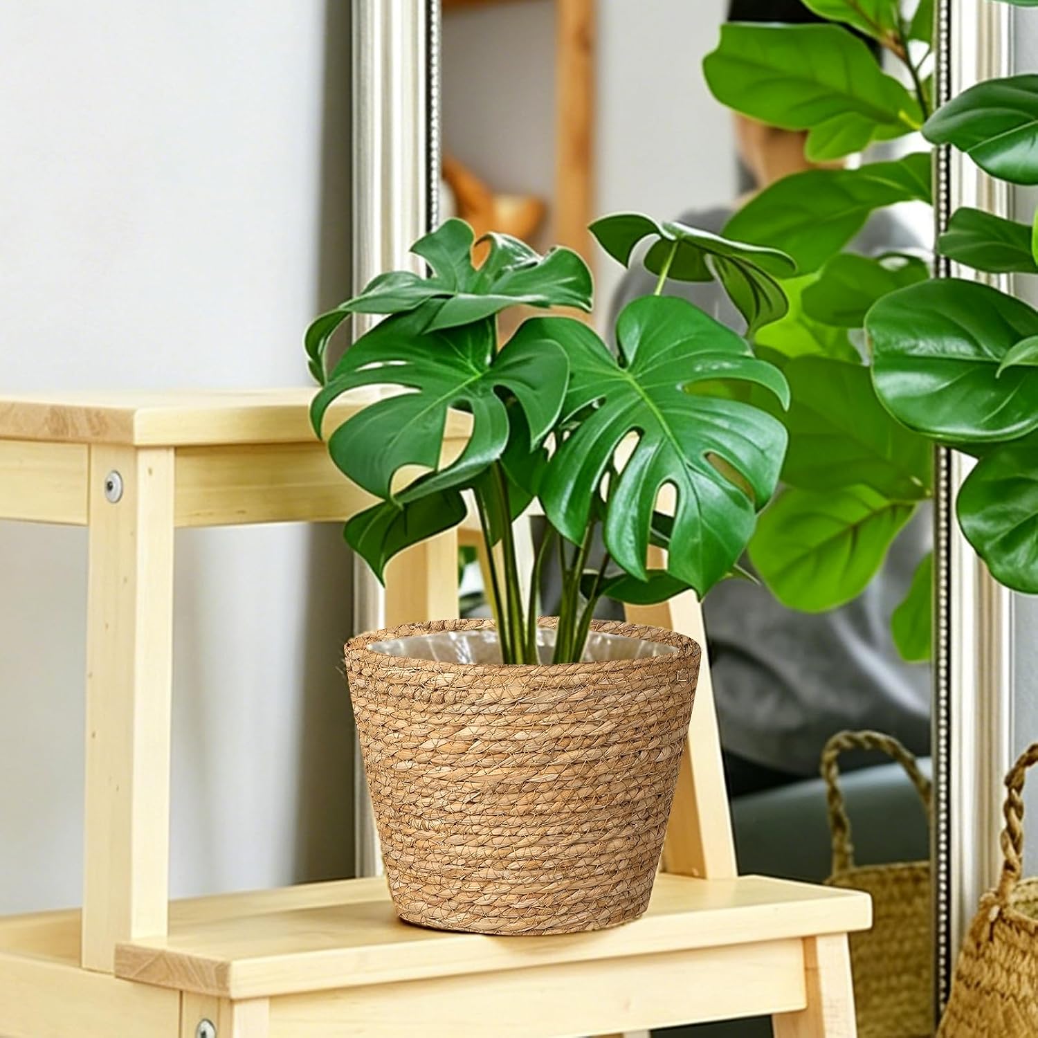 Natural Seagrass Planter Baskets 6 Pack Plant Pot Covers