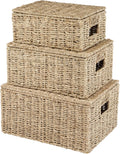 Lidded Seagrass Baskets 3 Pack Home Storage Organizers