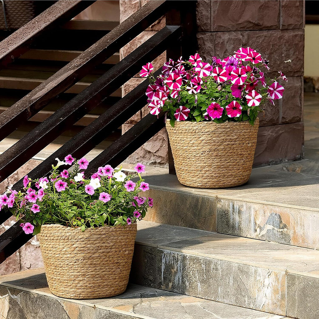 Natural Seagrass Planter Baskets 6 Pack Plant Pot Covers